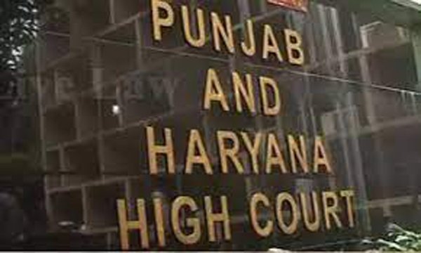 पंजाब हरियाणा हाईकोर्ट का अहम फैसला, सास-ससुर की अर्जित प्रॉपर्टी में बहू की हैसियत लाइसेंसी की