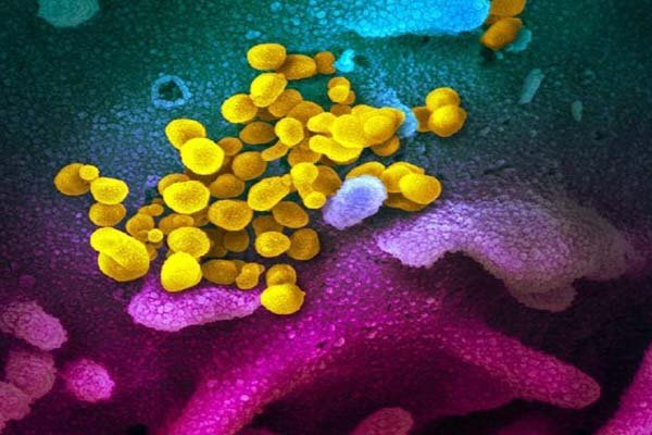 समुद्र की तलहटी