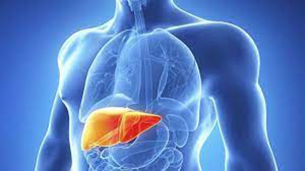 Attention:हेपेटाइटिस का समय पर इलाज नहीं कराने से लिवर-फेलियर और लिवर कैंसर का खतरा