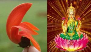Vastu Tips