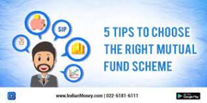 mutual fund 