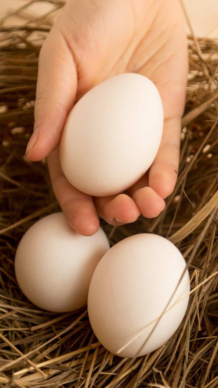 1671000089-egg-white