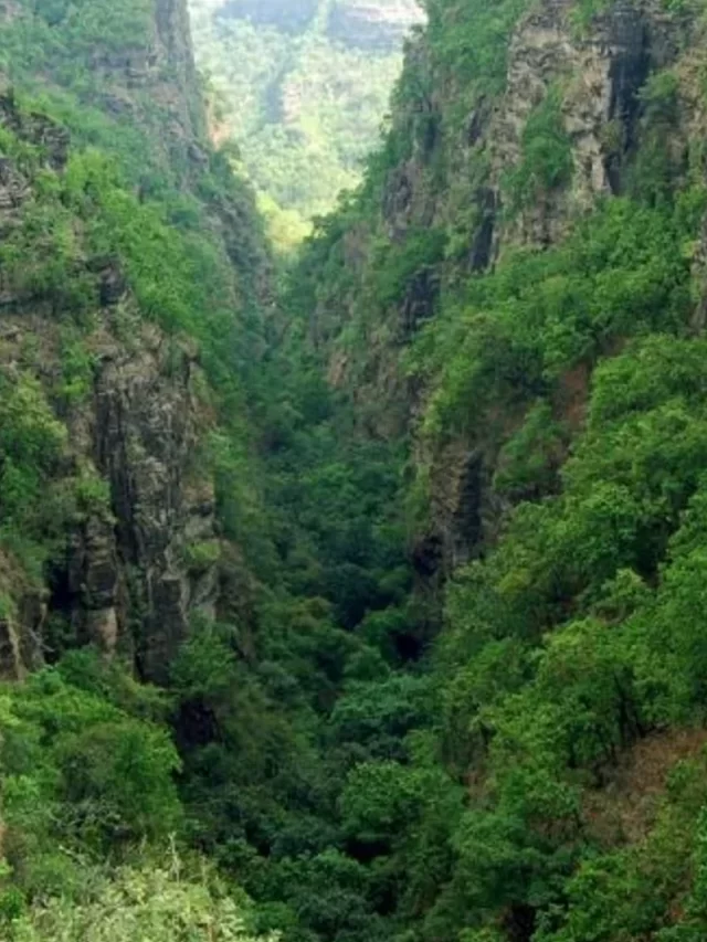 नए साल पर यहाँ जाए घूमने