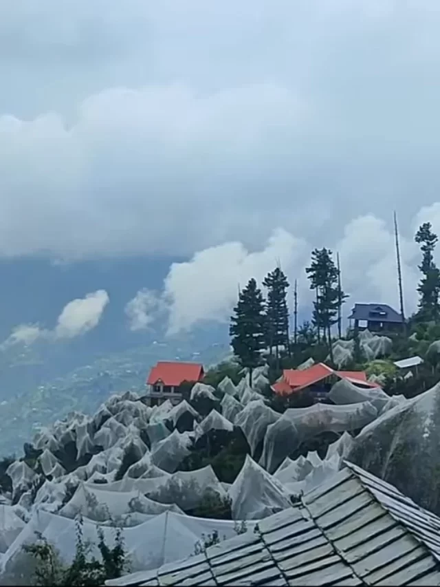 भारत का अनोखा गांव जहाँ सब है करोड़पति