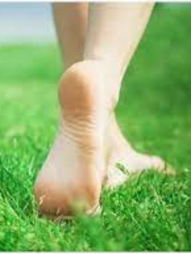 Benefits Of Walking Barefoot On Grass घास पर नंगे पाव चलने के फायदे
