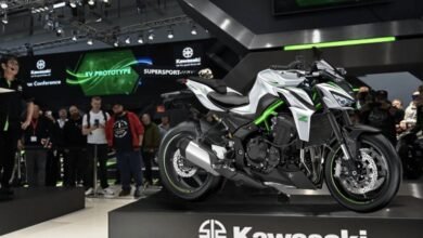 2024 Kawasaki Z900 Launched
