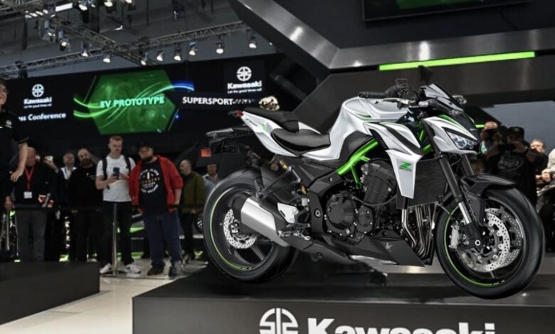 2024 Kawasaki Z900 Launched