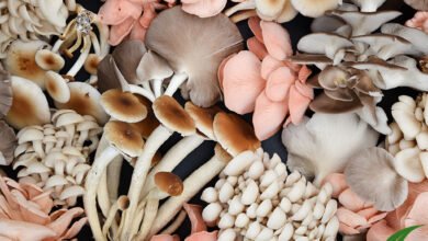 Business Idea: लोगों के ताने सुनने से अच्छा शुरू करे खुद का बिजनेस, होगा तगड़ा मुनाफा