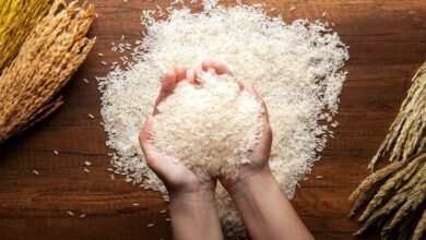 Bharat Rice Price
