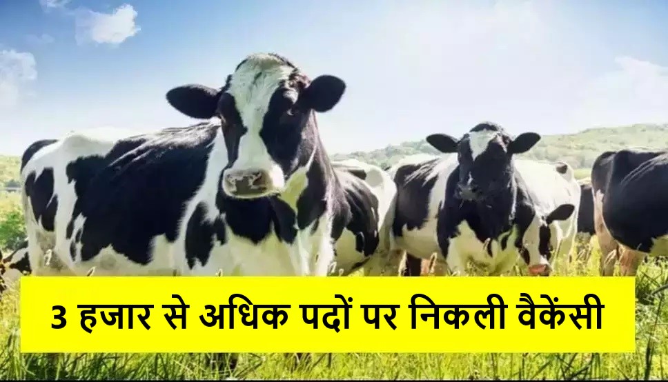 Recruitment 2024: पशुपालन प्रबंधन संस्थान की तरफ से 3 हजार से अधिक पदों पर निकली वैकेंसी, योग्य उम्मीदवार जल्द कर लें अप्लाई