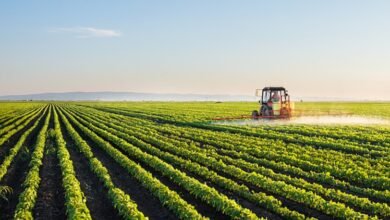 Integrated Farming System