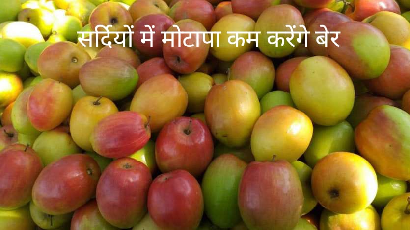 Weight Loss Idea : सर्दियों में मोटापे को कम करने के लिए खाये बेर , मिलेंगे ये फायदे