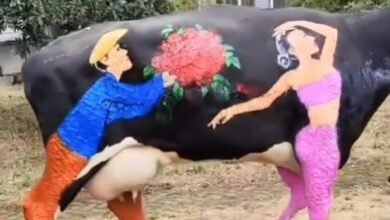 Viral Video : गाय से ज्यादा उस पर बनी लड़की आई सबको पसंद , वीडियो वायरल