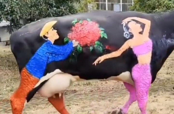 Viral Video : गाय से ज्यादा उस पर बनी लड़की आई सबको पसंद , वीडियो वायरल