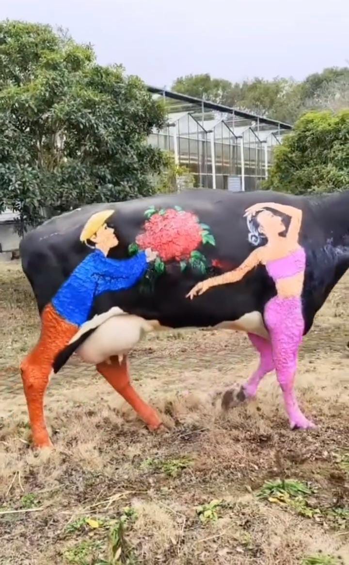 Viral Video : गाय से ज्यादा उस पर बनी लड़की आई सबको पसंद , वीडियो वायरल