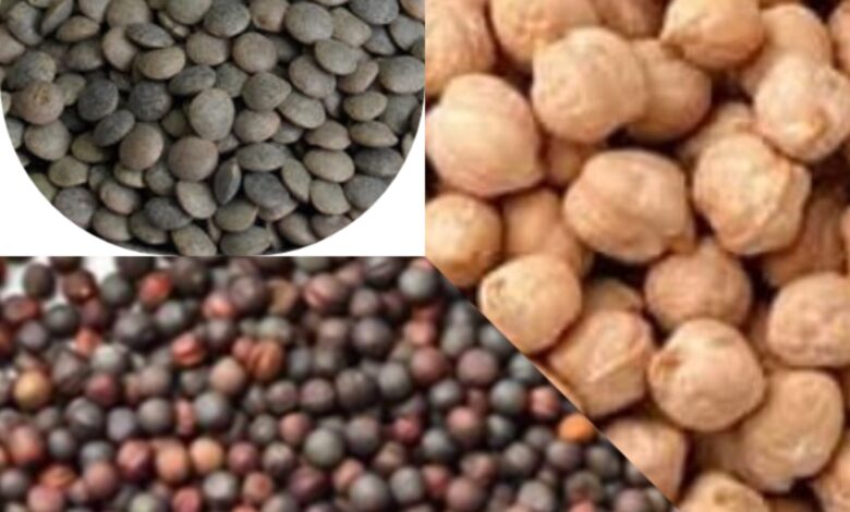 20 फरवरी से चना, मसूर और सरसों की खरीदी के लिए रजिस्ट्रेशन शुरू , ऐसे करे आवेदन