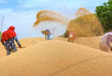 Wheat Procurement Registration