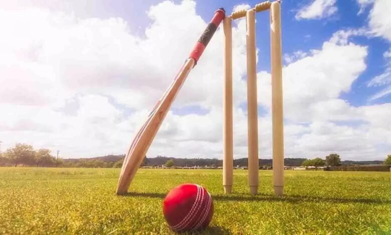 cricket news