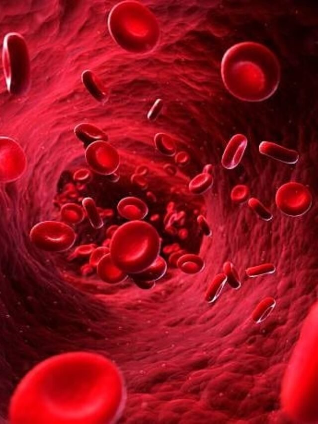 खून बढ़ने के लिए खाये ये चीज़े कभी कम नहीं होगा खून