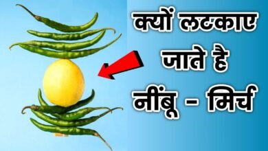 अपने घरों दुकानों वाहनों में नींबू और मिर्च क्यों लटकाते हैं लोग, जानिए क्या इसके पीछे की वजह