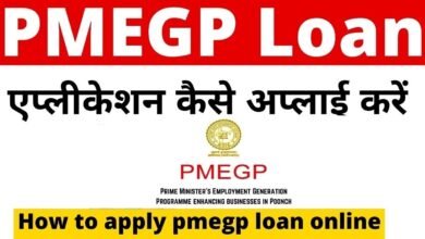 pmegp loan apply online