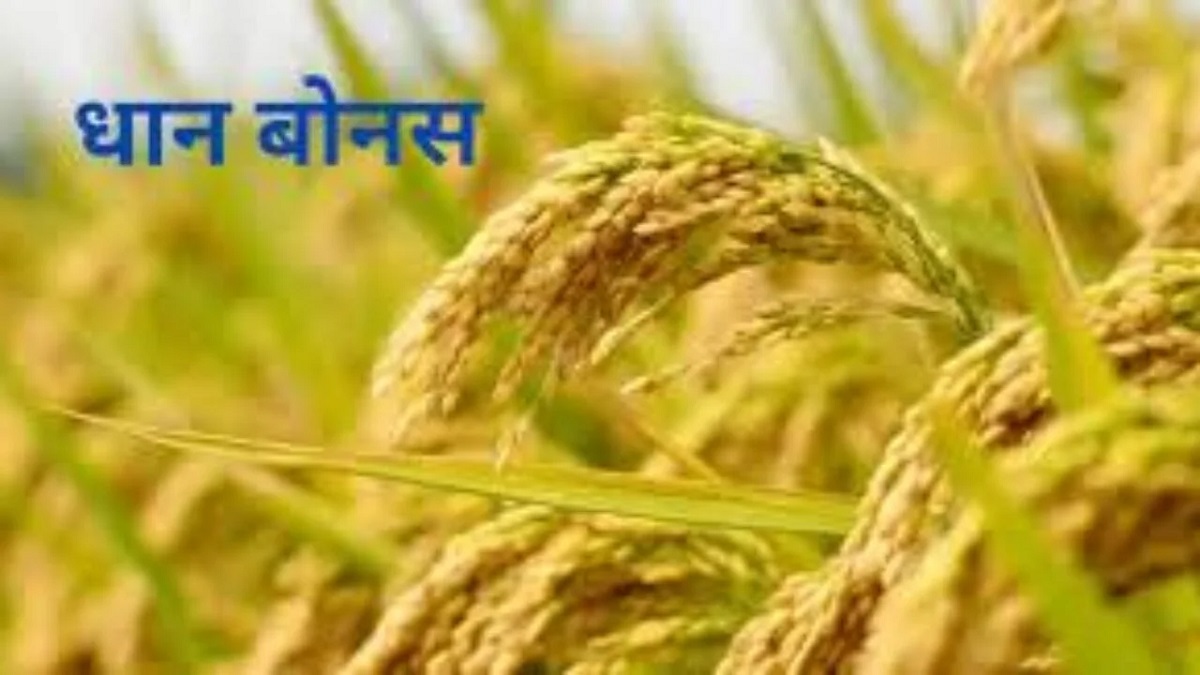 CG Dhan Bonus 2024