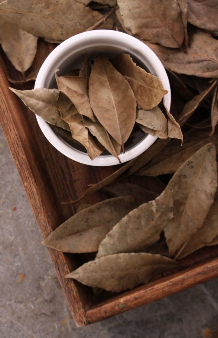 Bay leaf Business : कम निवेश के साथ तगड़ी कमाई देगी ये खेती , जाने कैसे