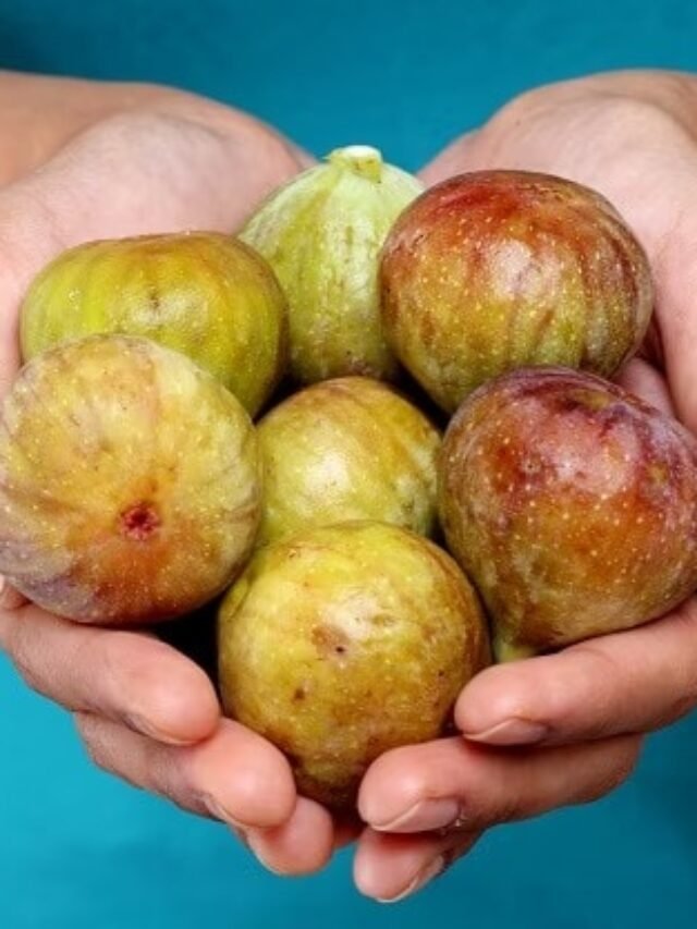 रोज़ाना खाली पेट अंजीर खाएंगे, तो सेहत को मिलेंगे ये फायदे