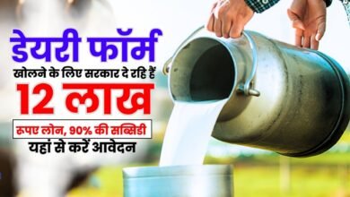 Dairy Farming 2024: दूध का धंधा बना देगा करोड़पति बस फॉलो करे आसान टिप्स