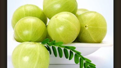 सेहत के लिए बेहत जरुरी होता है आँवला जिसका सेवन बहुत से रोगो की करता है छुट्टी