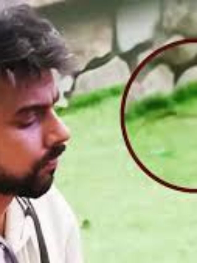 ब‍िग बॉस के घर में खतरे में कंटेस्टेंट की जान, घूम रहा जहरीला सांप