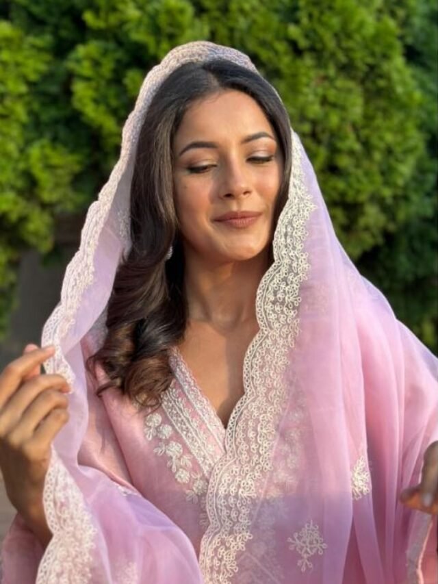 सहनाज गिल देसी अंदाज़ में दिखी फैंस ने लुटाया प्यार