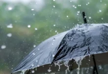 Latest Weather Update: कई राज्यों में झमाझम बारिश ने मचाया हड़कंप,जाने आपके शहर के तरोताजा अपडेट