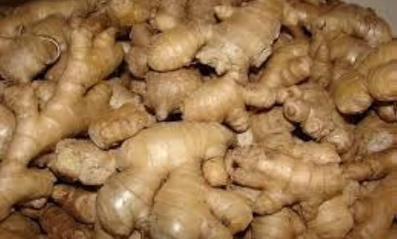 Ginger Farming 2024: नए तरीके से अदरक की खेती कर कमाए लाखो तक का मुनाफा