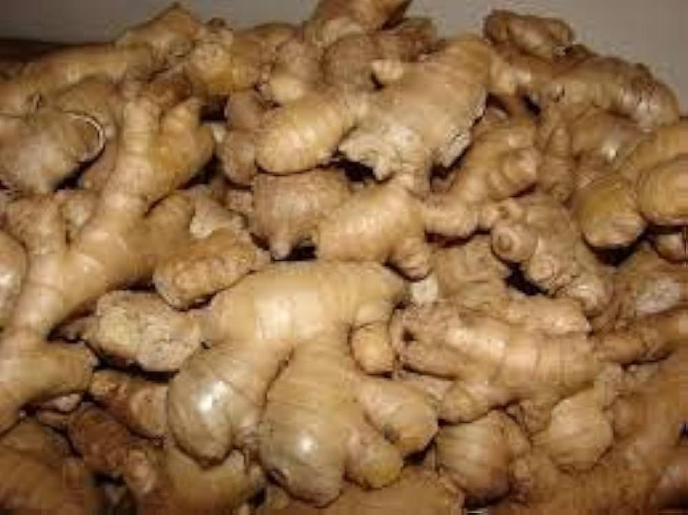 Ginger Farming 2024: नए तरीके से अदरक की खेती कर कमाए लाखो तक का मुनाफा