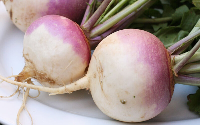 Cultivation of turnip: किसानो की सोइ किस्मत जगा देगी शलजम की खेती जाने तरीका
