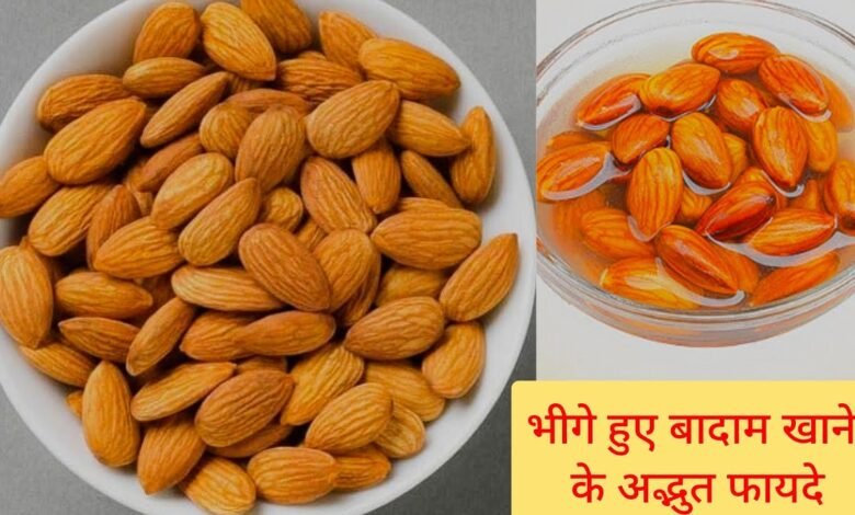 खाली पेट भीगे हुए बादाम का सेवन आपके शरीर में देंगेअचूक फायदे