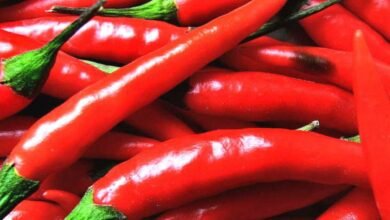 लाल मिर्च खाना शरीर के लिए हुआ हानिकारक साबित,जाने इसके नुकसान