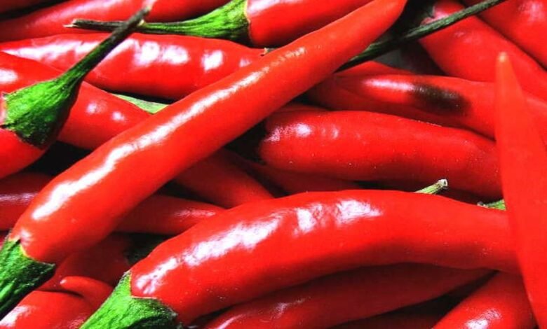 लाल मिर्च खाना शरीर के लिए हुआ हानिकारक साबित,जाने इसके नुकसान