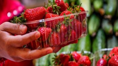 Strawberry benefits: सेहत को तंदरुस्त बनता है स्ट्रॉबेरी जाने इससे होने वाले अंदरूनी फायदे