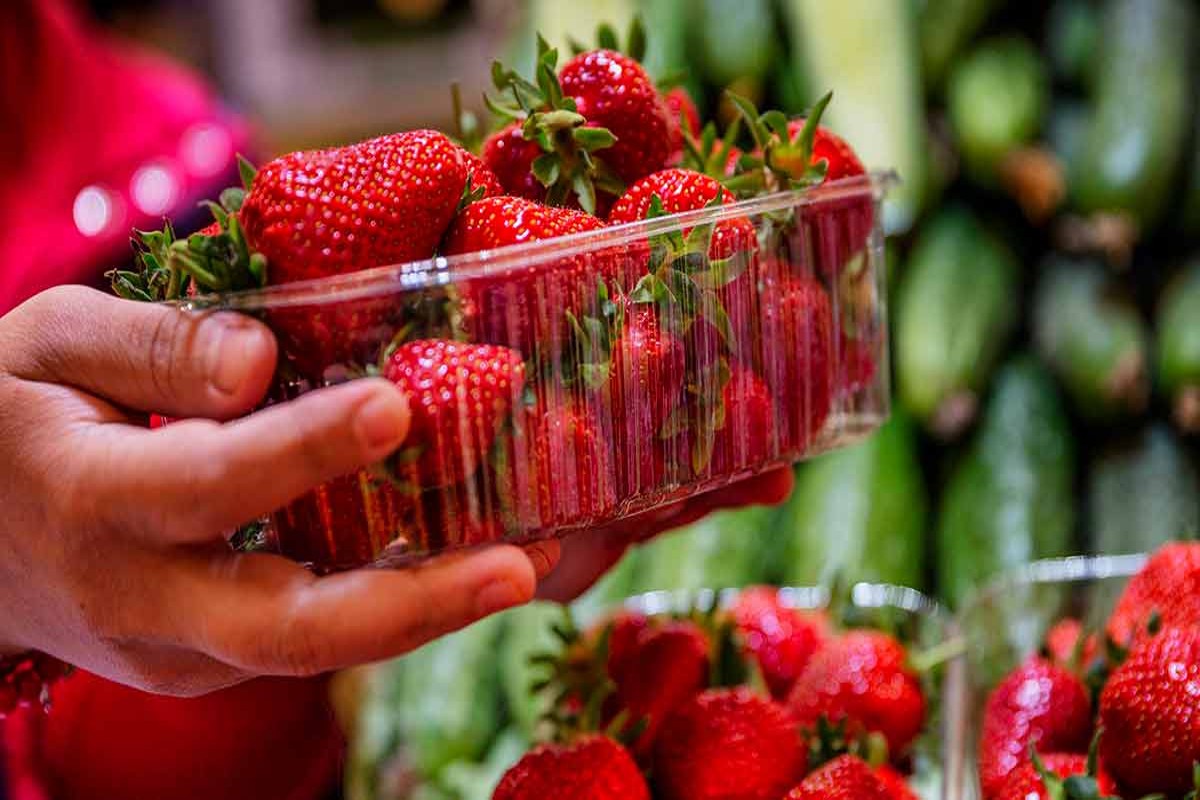 Strawberry benefits: सेहत को तंदरुस्त बनता है स्ट्रॉबेरी जाने इससे होने वाले अंदरूनी फायदे