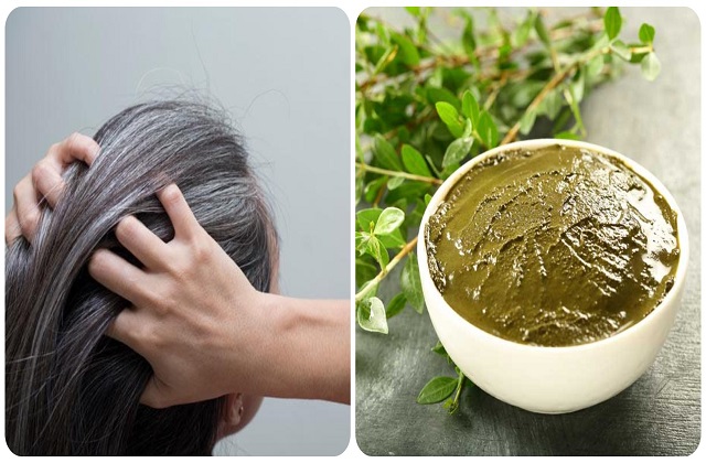 HAIR TIPS 2024: सफ़ेद बालो को काले करने के आसान टिप्स