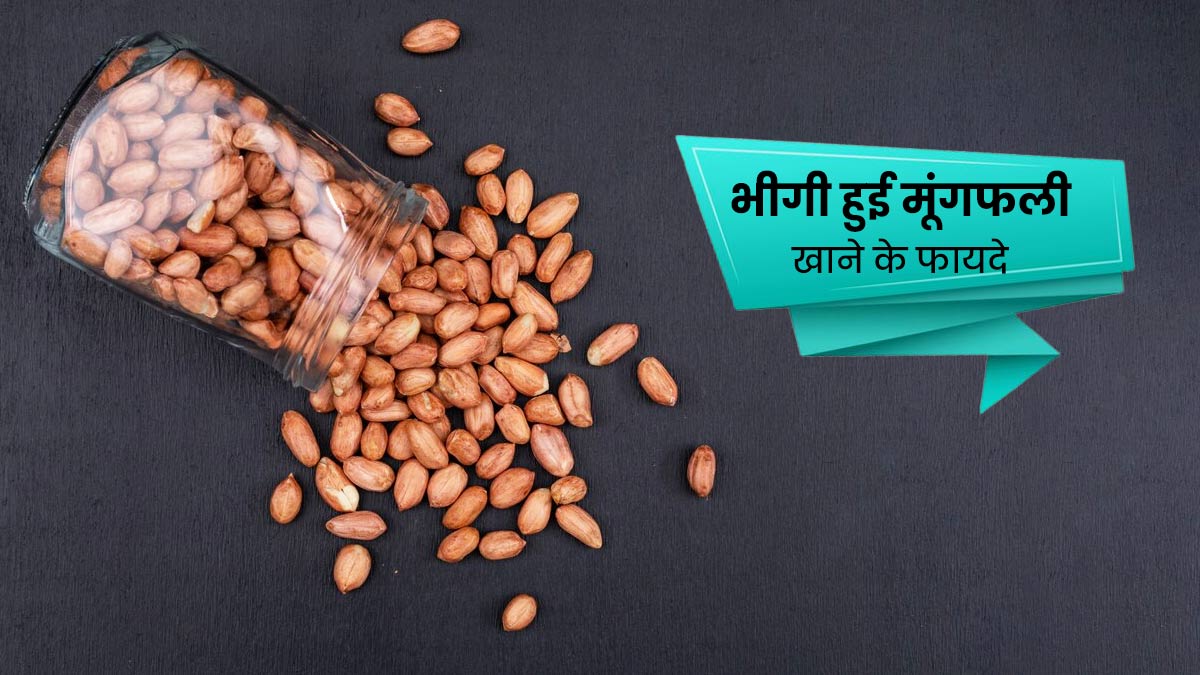 मूंगफली का सेवन आपके सेहत में लाता है कई सारे सुधार,देखे