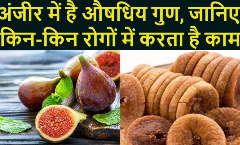 Fig Benefits: बीमारियों को दूर भगा देंगा अंजीर,जाने एक दिन में कितने खाये चाहिए