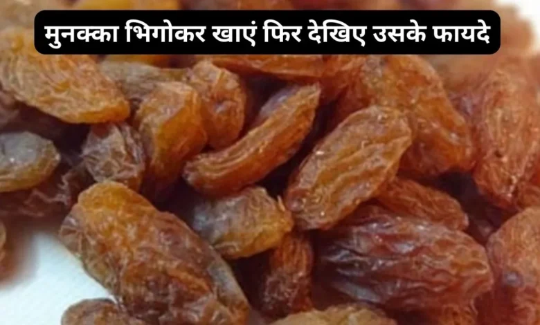 सेहत को परमानेंट तंदरुस्त करता है मुनक्का का सेवन,जाने किस प्रकार भिगोकर खाये