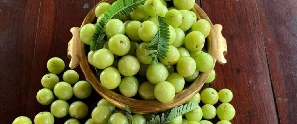 Kheti kisani: इस फल की खेती कर आप बन सकते है धन्नासेठ,जाने पूरी जानकारी