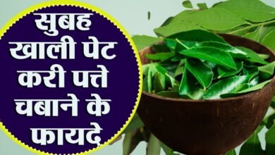 करी के पत्ते खाने से होती है कई बीमारिया दूर,जानिए इसे सेवन करने का तरीका