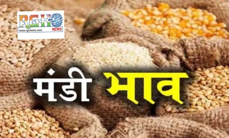 Mandi Bhav