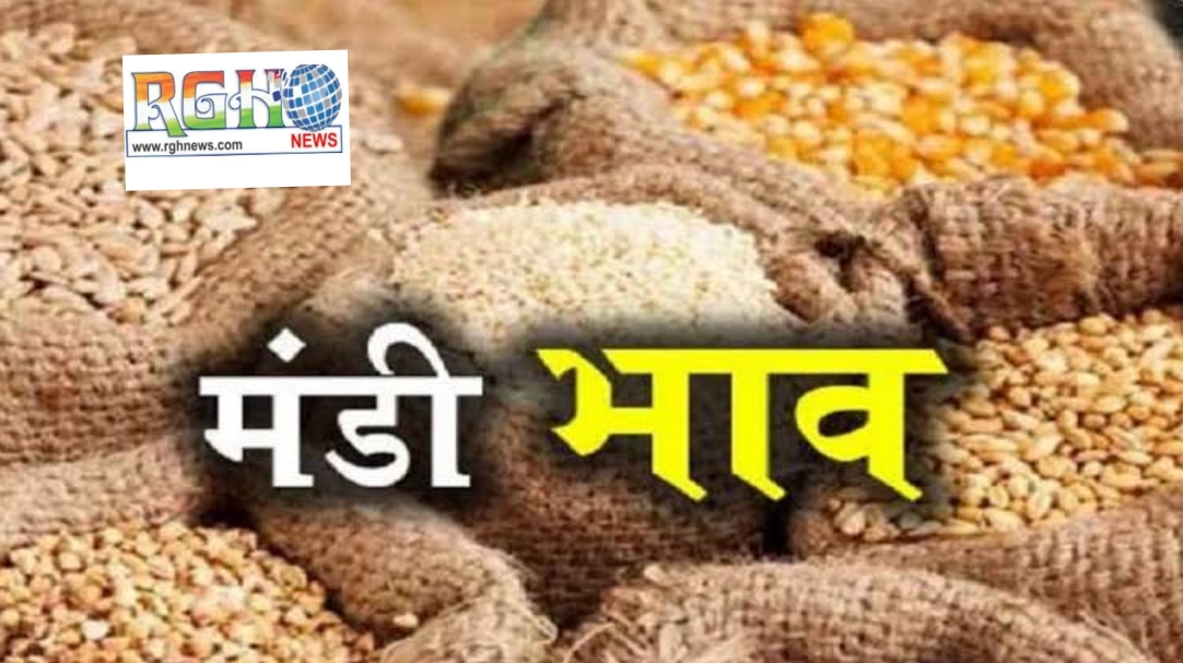 Mandi Bhav