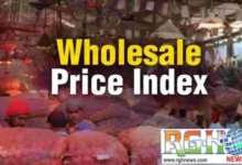 WPI Inflation